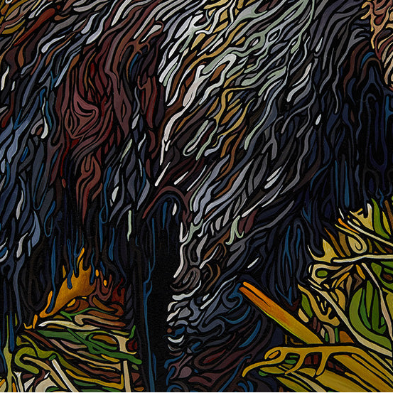 #111 "Great Bear Rainforest"