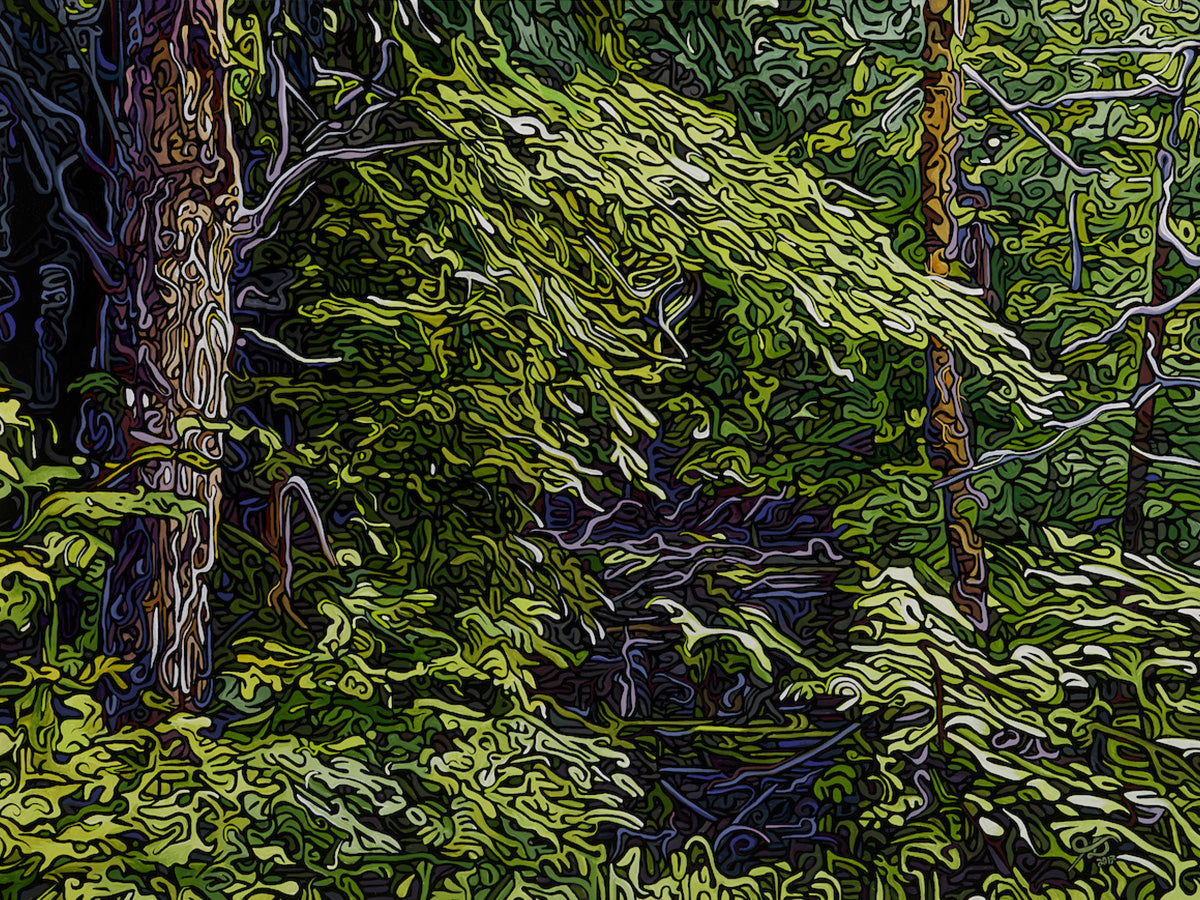 112-forest-cathedral-prints