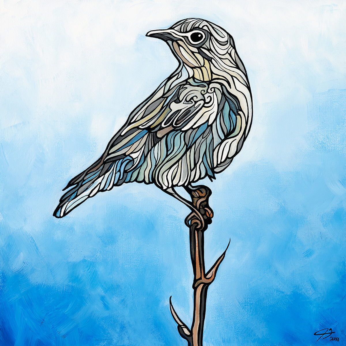 252-mountain-bluebird