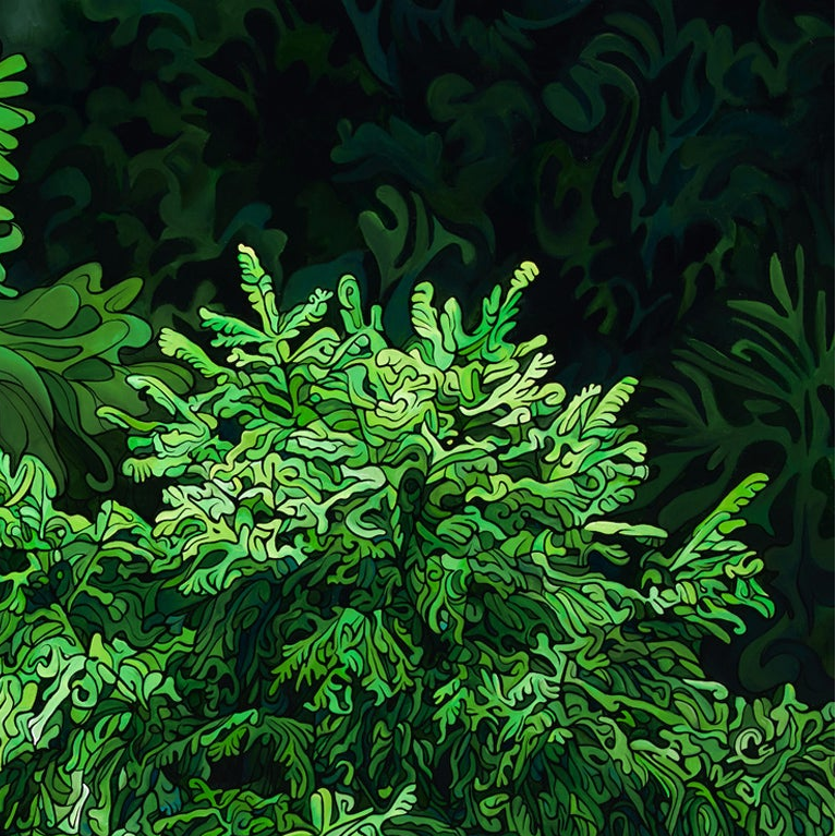 #256 "Hidden Among The Firs"