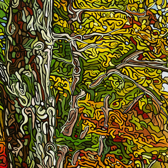 #62 – Winding Rivers Edge