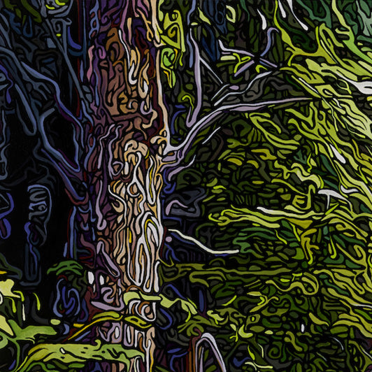 #112 "Forest Cathedral"