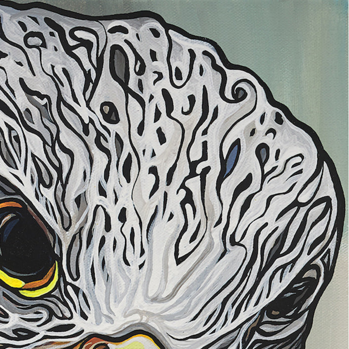 #158 "Concealed Perch"