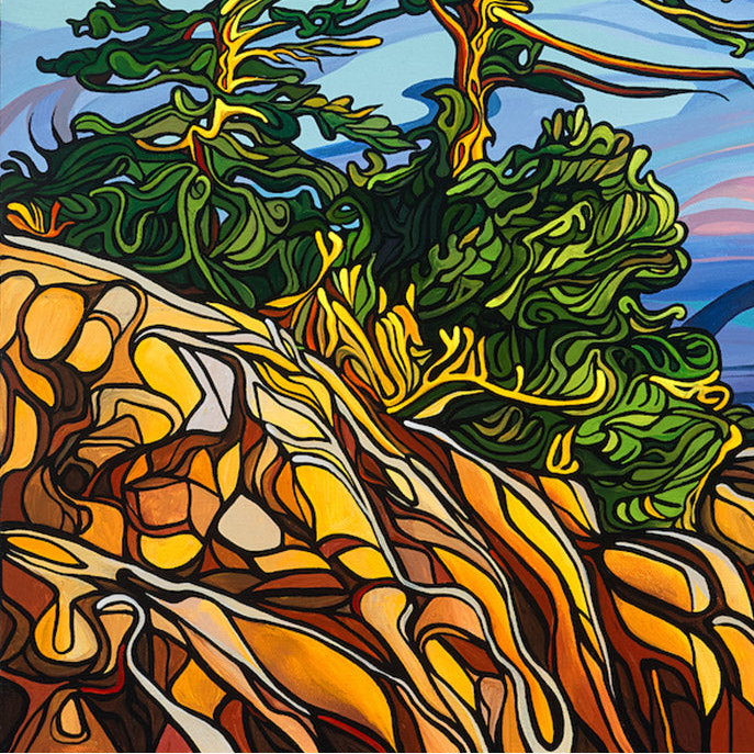 #178 – Diamond Pine