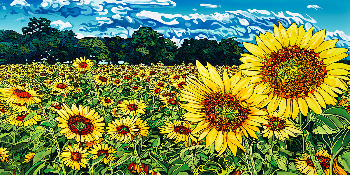 224-the-field-of-dreams-prints