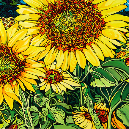 #224 "The Field Of Dreams"