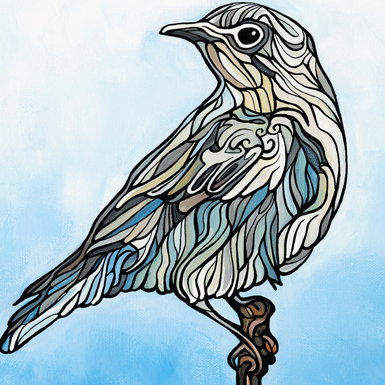 #252 "Mountain Bluebird"