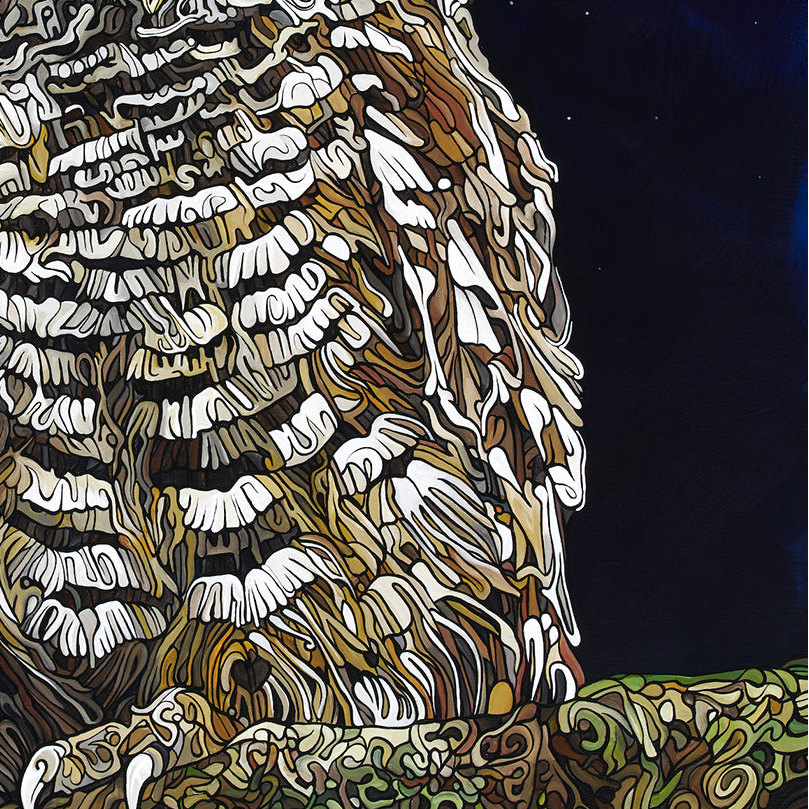 #259 "The Night Owl"