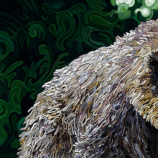 #260 "The Elusive Bear"