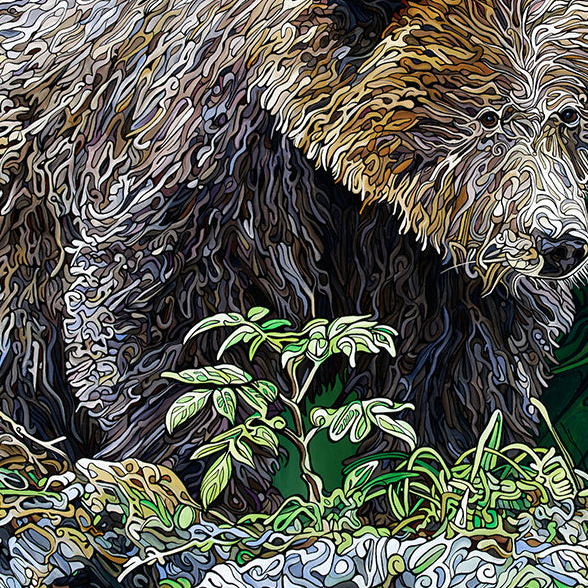 #260 "The Elusive Bear"